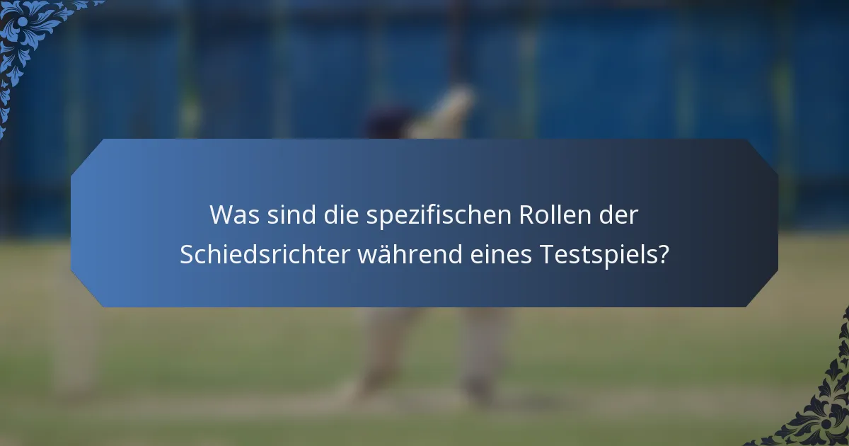 Was sind die spezifischen Rollen der Schiedsrichter während eines Testspiels?