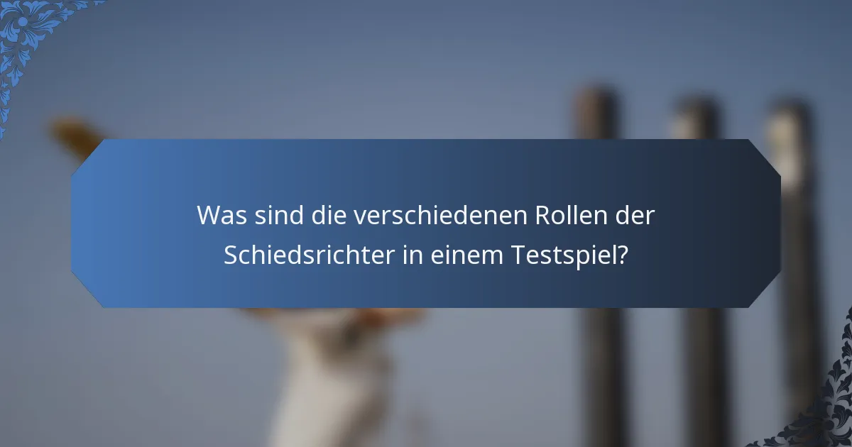 Was sind die verschiedenen Rollen der Schiedsrichter in einem Testspiel?