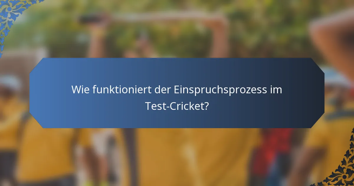 Wie funktioniert der Einspruchsprozess im Test-Cricket?