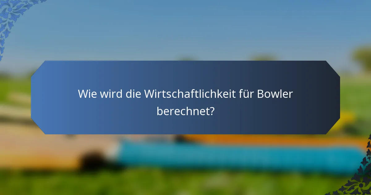 Wie wird die Wirtschaftlichkeit für Bowler berechnet?